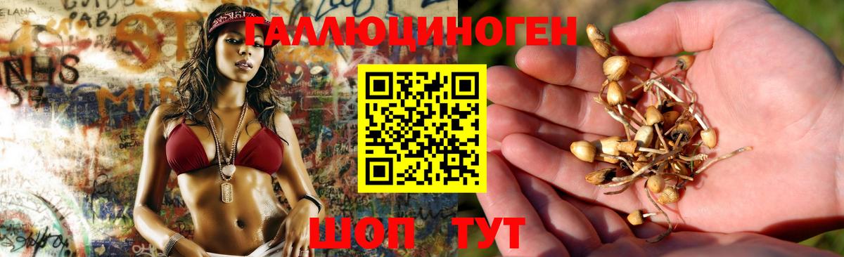 Псилоцибиновые грибы мицелий  Вход с VPN  где можно купить наркотик  Знаменск 