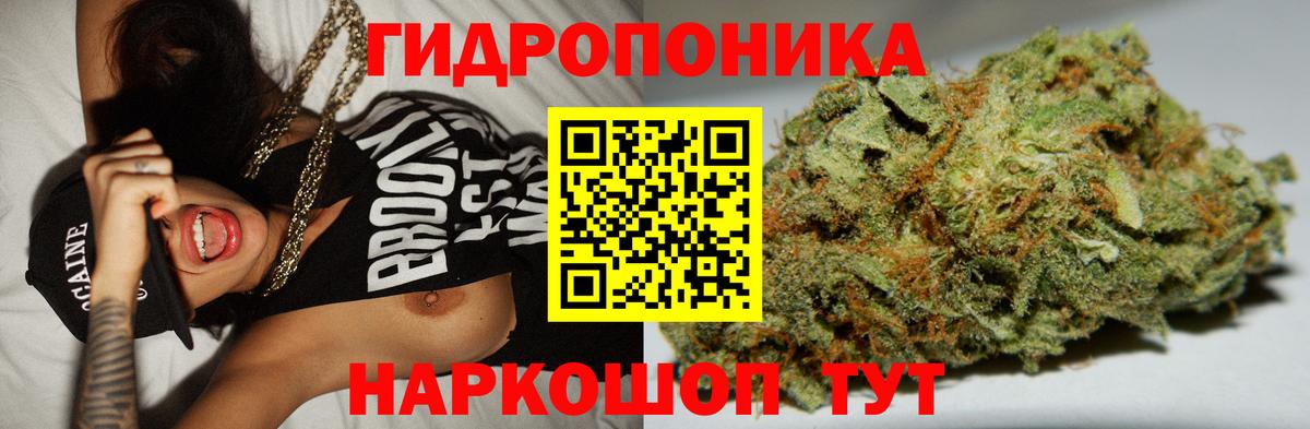 Канабис конопля Знаменск